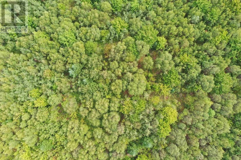Lot 19 Acres+- Wallace Road — photo 18 of 20