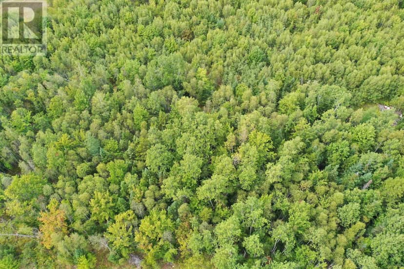 Lot 19 Acres+- Wallace Road — photo 17 of 20