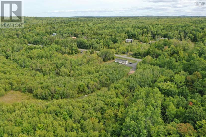 Lot 19 Acres+- Wallace Road — photo 15 of 20