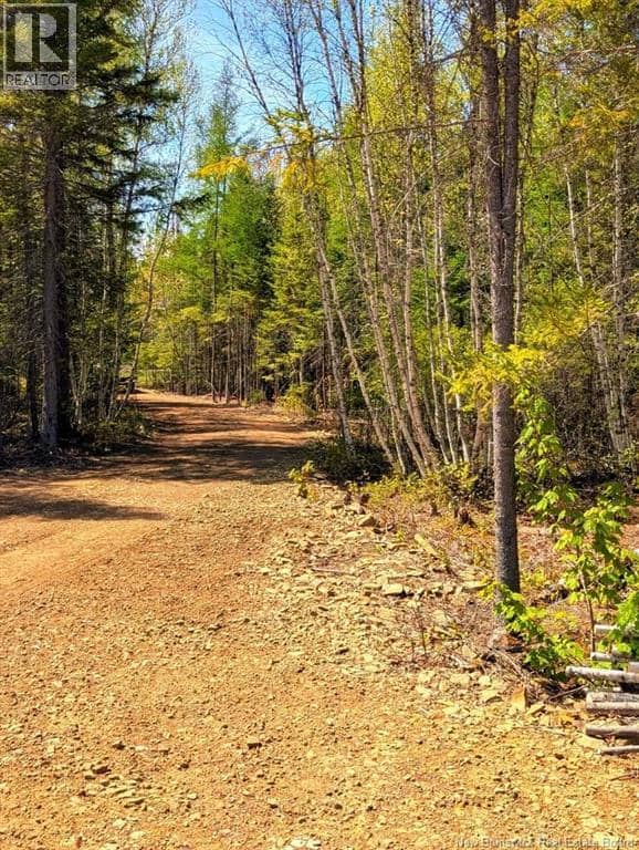 Lot 23-1 Rte 495, Rexton, photo 2