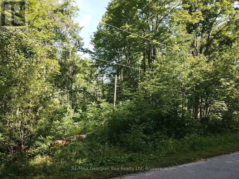168 Peter Street E, Oro-Medonte, photo 7