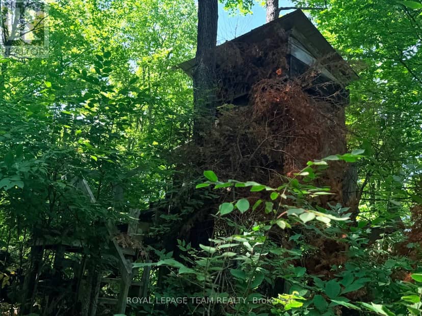 1506 Whelan Road — photo 33 of 40
