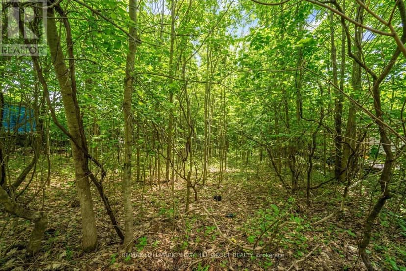 17 Valleyview Drive, Oro-Medonte, photo 4