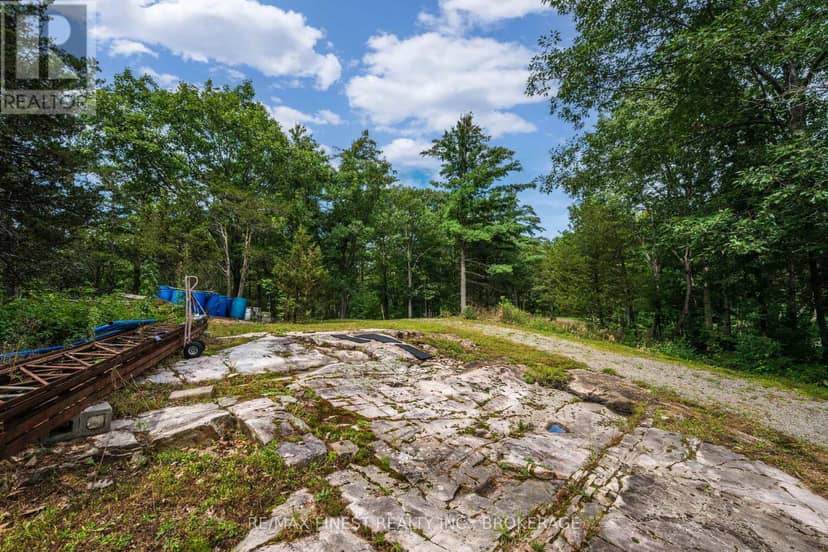 169 Old River Road — photo 7 of 27