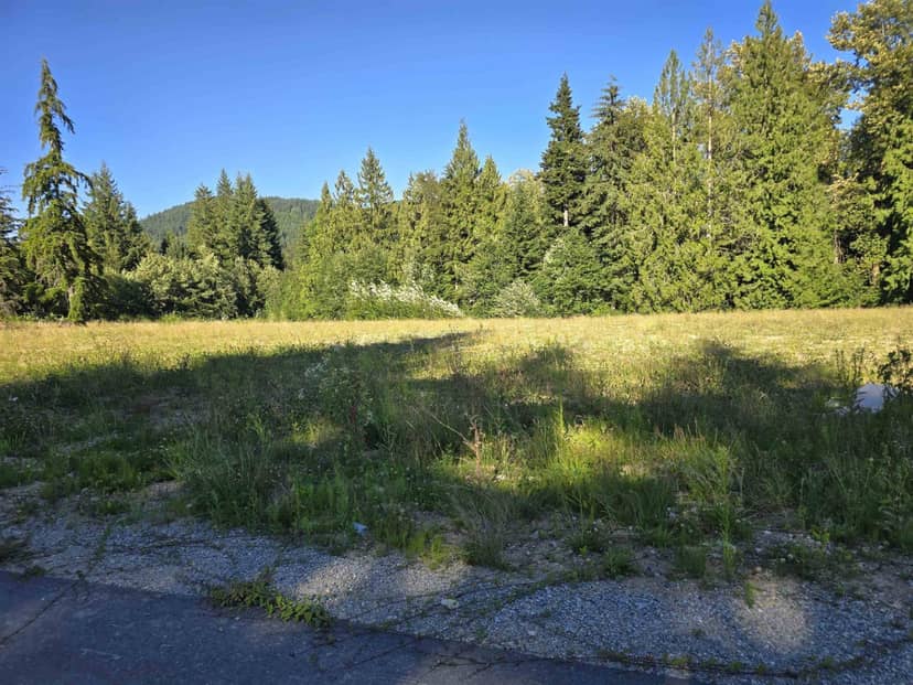 32221 RICHARDS AVENUE, Mission, photo 6