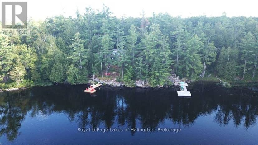 481 Crego Lake Road, Kawartha Lakes, photo 6