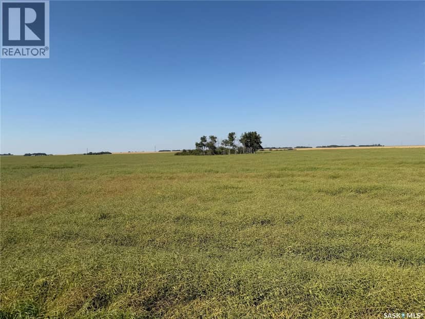 160 acres "B" soil Farmland Invergordon, Invergordon Rm No. 430, photo 6