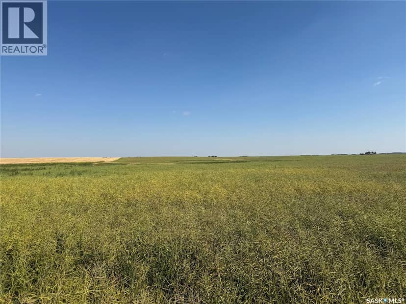 160 acres "B" soil Farmland Invergordon — photo 10 of 11