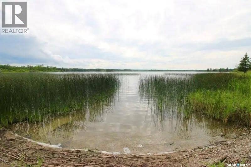 Larson Lake Waterfront Cabins + 3 Quarters of land — photo 15 of 40