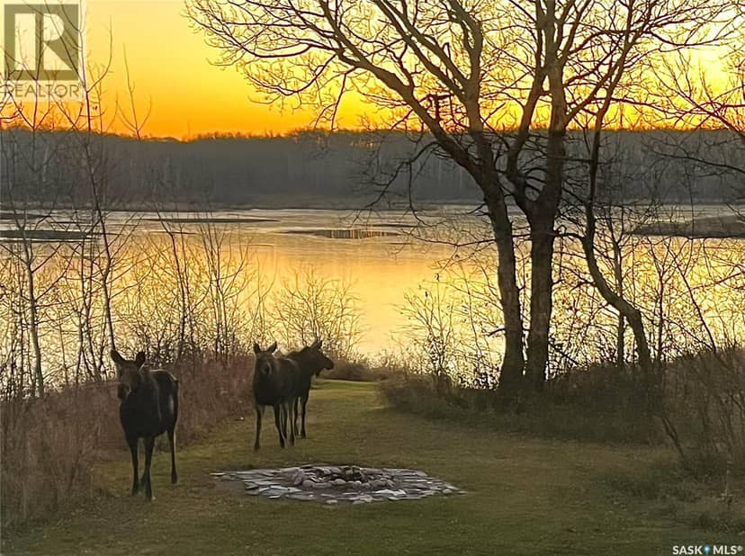 Larson Lake Waterfront Cabins + 3 Quarters of land — photo 36 of 40