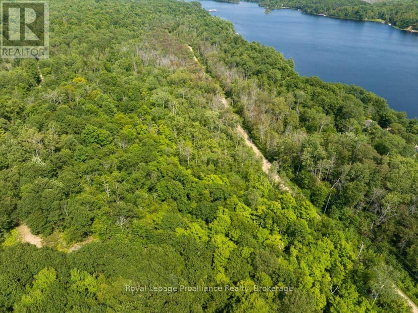 Lot 1 - 1412 Baker Valley Road — photo 12 of 40