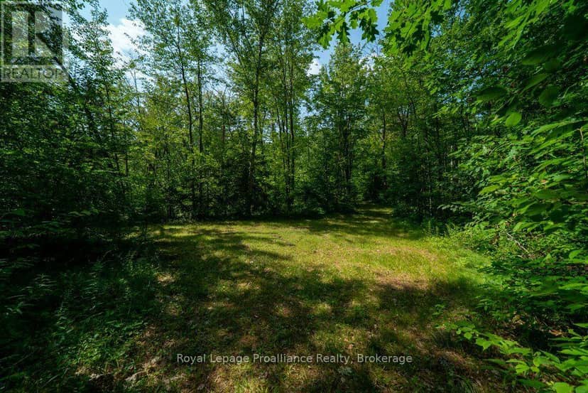 Lot 1 - 1412 Baker Valley Road — photo 18 of 40