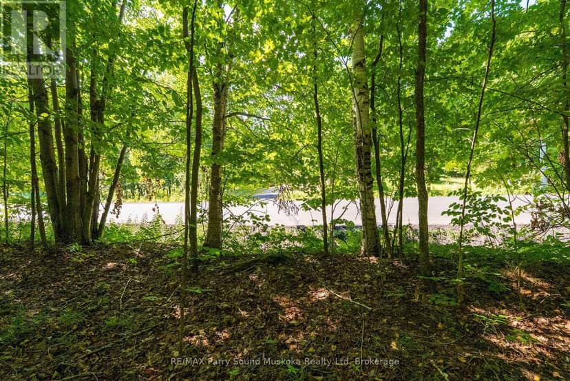 4 Mountain Basin Drive — photo 11 of 18