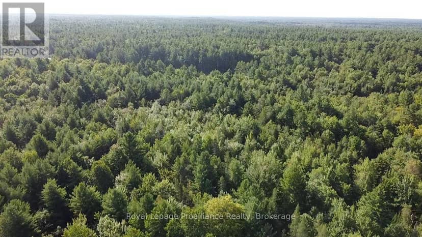 PL29C10 Kennebec Road — photo 15 of 24