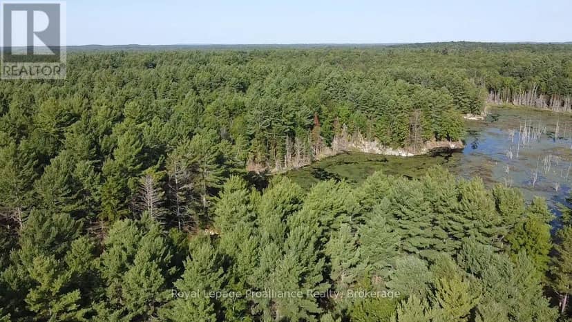 PL29C10 Kennebec Road, Addington Highlands, photo 6