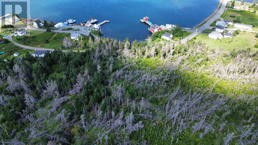 0 Havenside Road, Louisbourg, photo 5