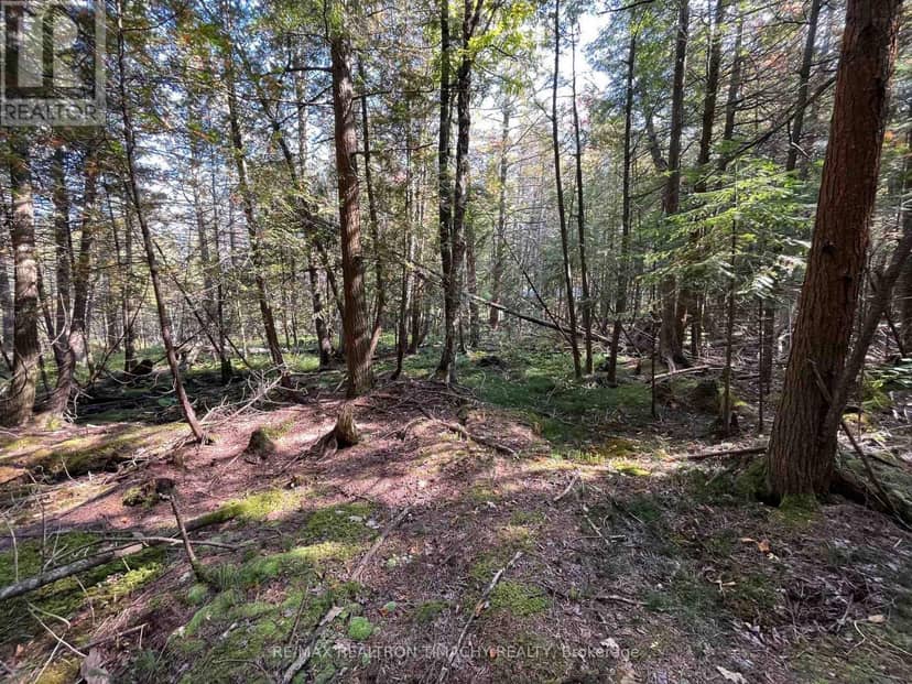 Lot 25 Champlain Road — photo 1 of 15