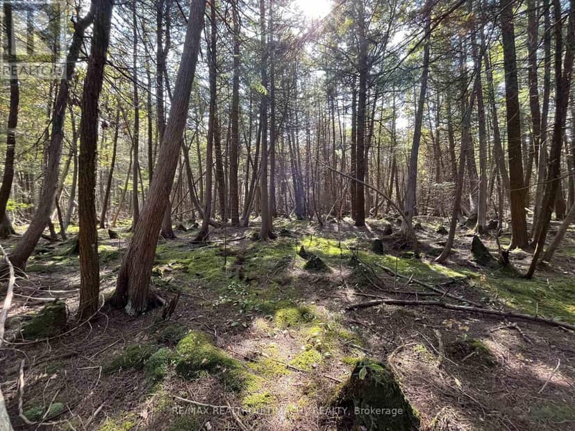 Lot 25 Champlain Road — photo 2 of 15