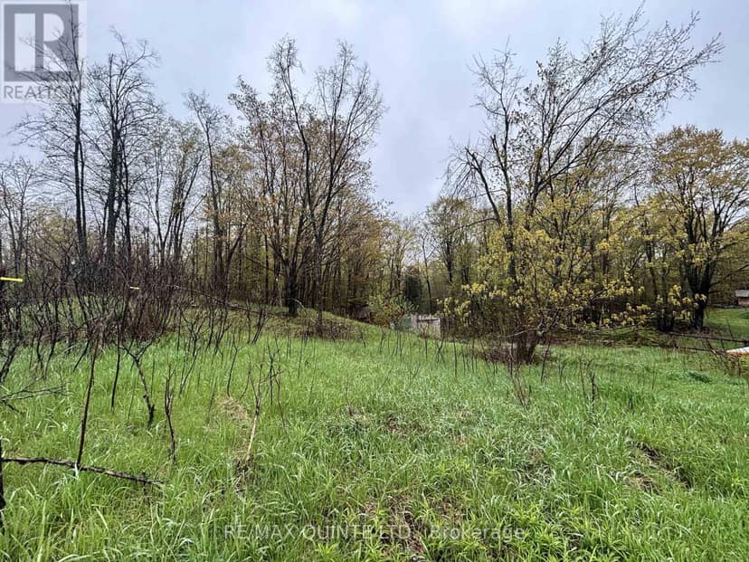 344 Quin-Mo-Lac Road, Centre Hastings, photo 4