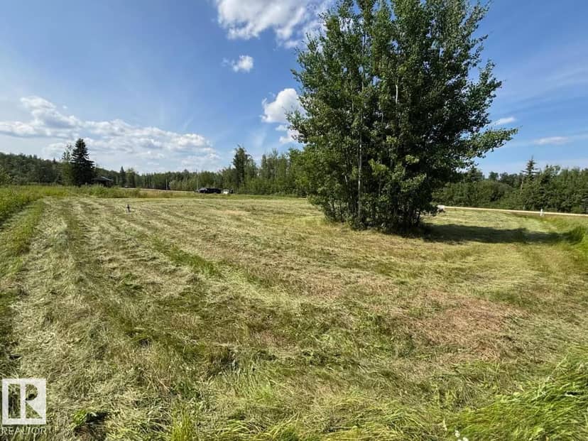 19 5 AV, Faust, photo 3