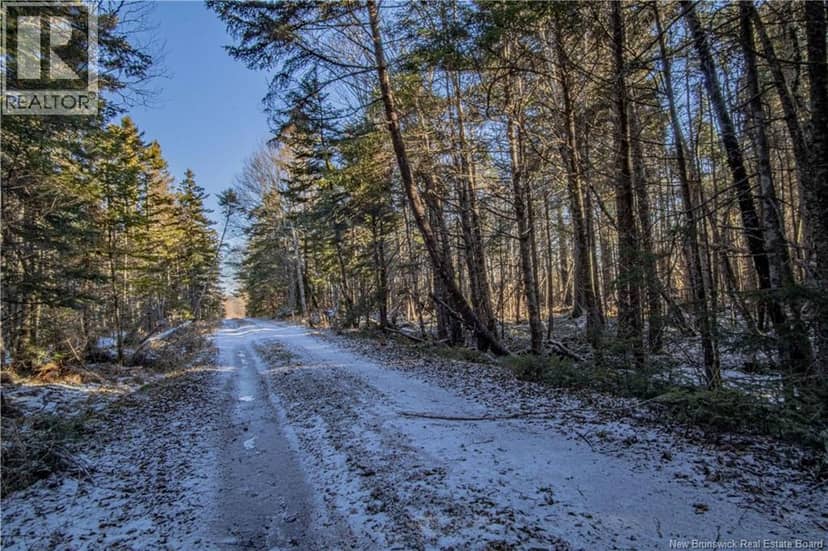 Lot D Old Shore Road — photo 13 of 25