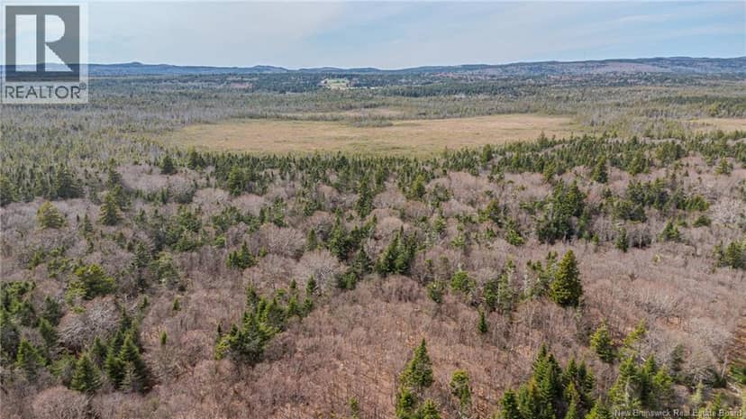 Lot D Old Shore Road — photo 23 of 25