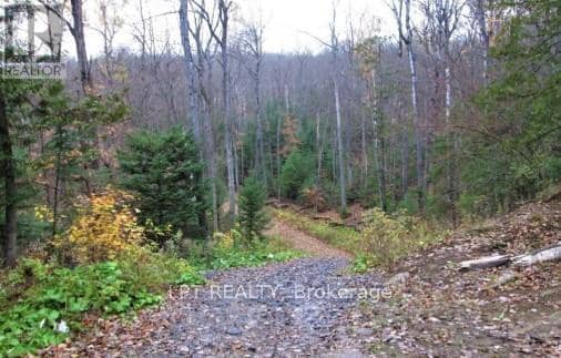 1827 Hybla Road — photo 3 of 18