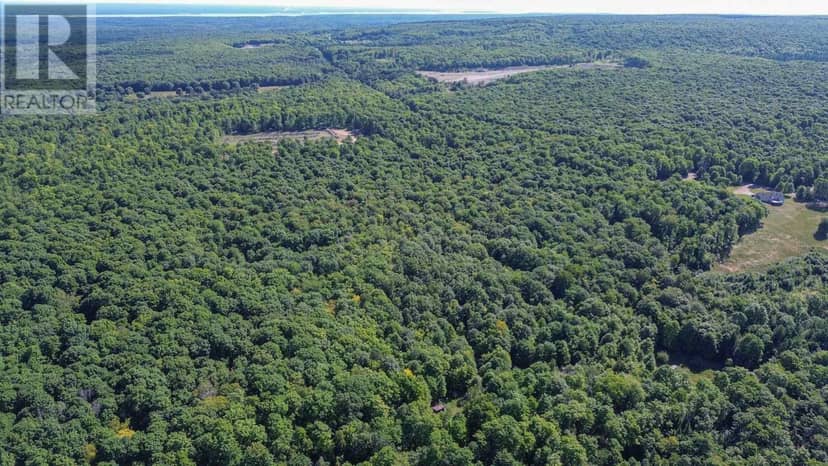 Lot 6 Hilton RD, Jocelyn Township, photo 4