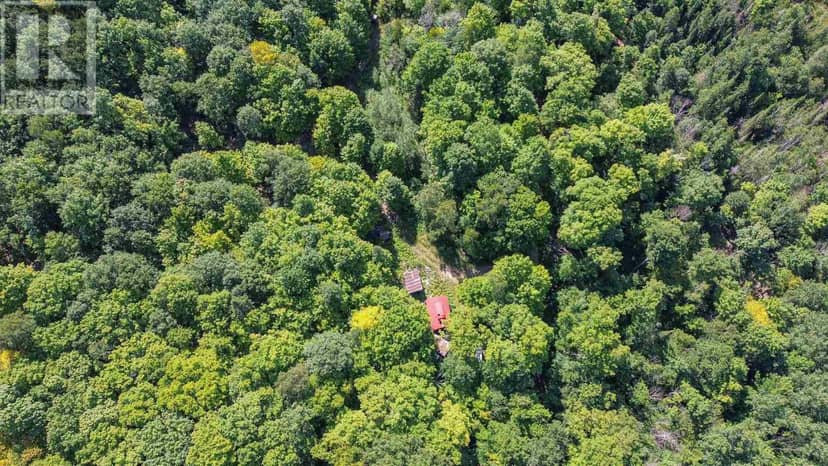 Lot 6 Hilton RD, Jocelyn Township, photo 6