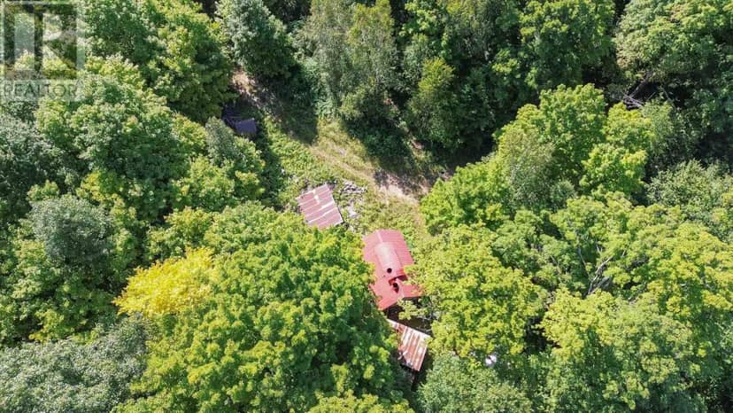 Lot 6 Hilton RD, Jocelyn Township, photo 8