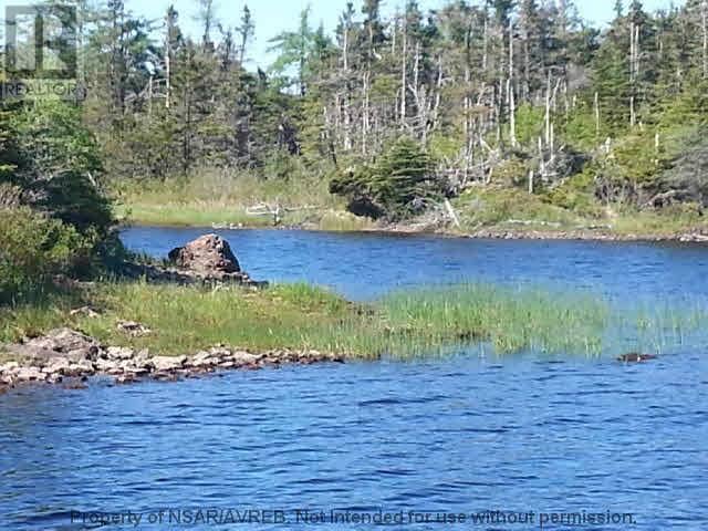 Lot 13 East Side Grand River Road — photo 14 of 17