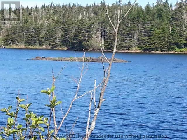 Lot 14 East Side Grand River Road — photo 16 of 18
