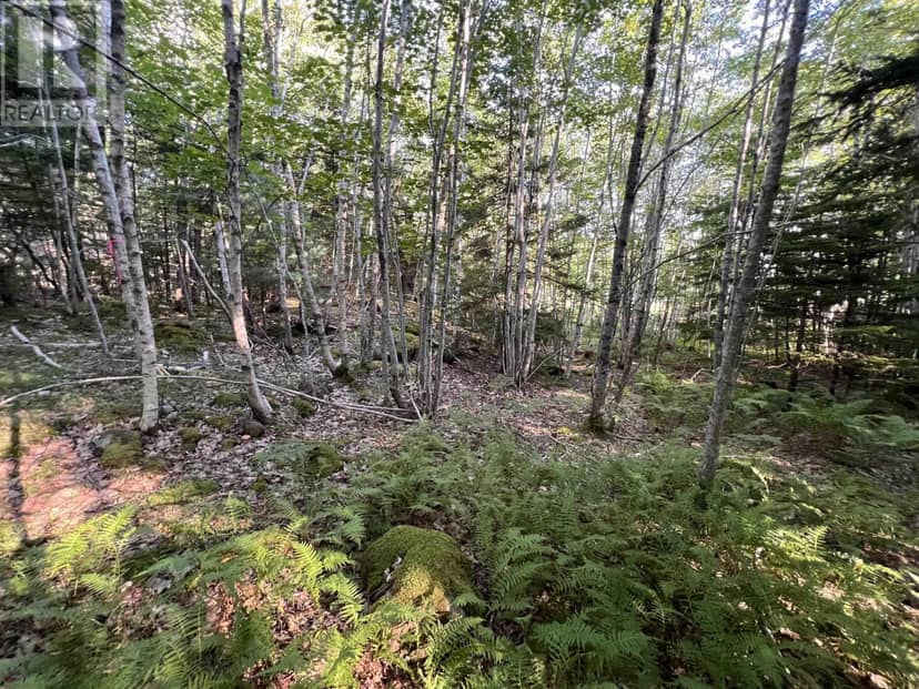 Lot 26-2 James Street — photo 13 of 25