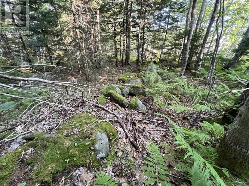 Lot 26-2 James Street — photo 12 of 25