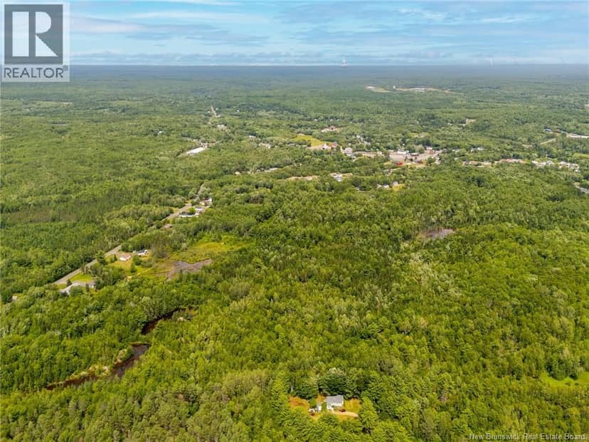 Lot Northfield Avenue, Minto, photo 4