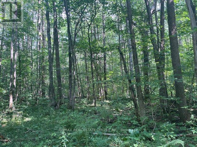 Pt LT44 Chatsworth  24 Road — photo 11 of 15