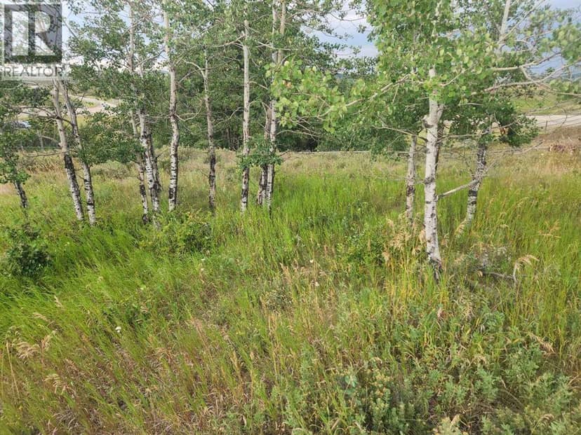 430 Cottageclub Cove, Rural Rocky View County, photo 6