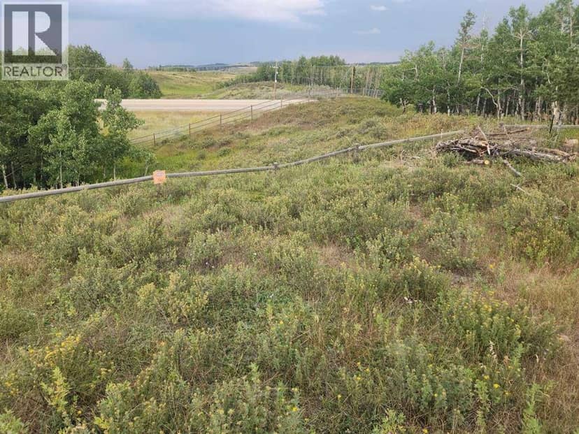 430 Cottageclub Cove, Rural Rocky View County, photo 8