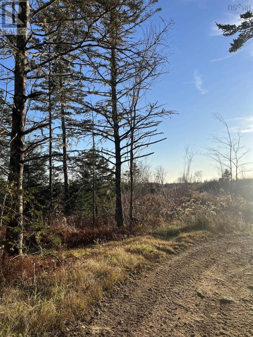 Lot Small Gains Road — photo 9 of 12