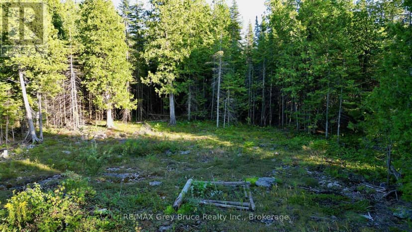 8 Devils Glen — photo 23 of 24