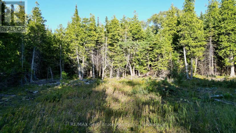 8 Devils Glen — photo 5 of 24