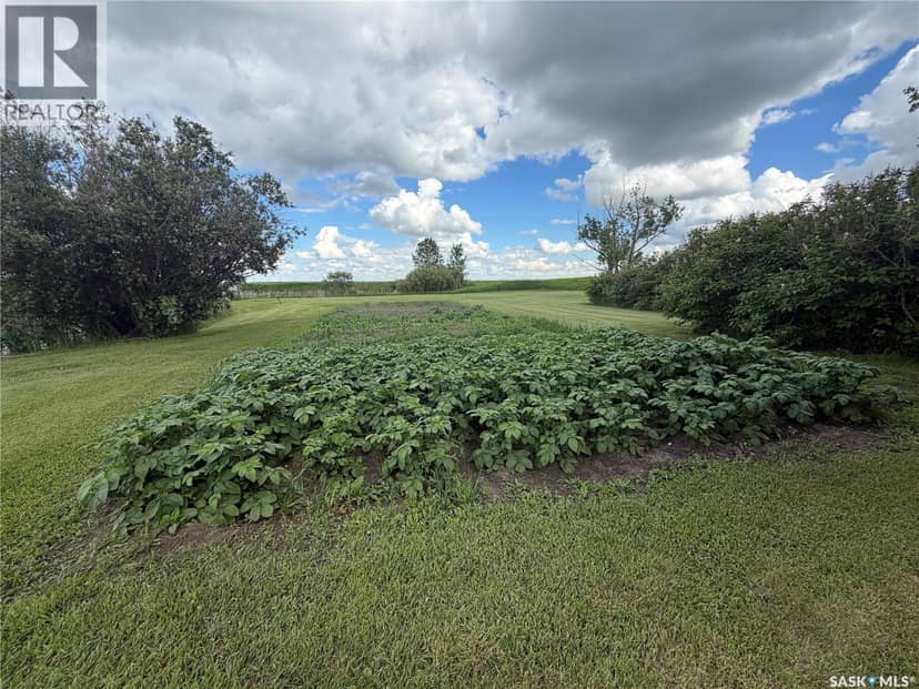 Pollock Acreage. 9 acres RM of Fillmore — photo 6 of 40