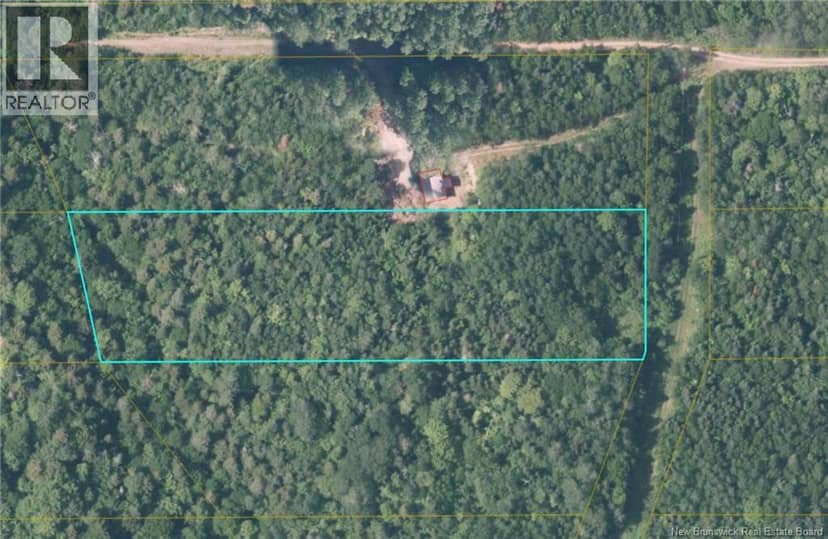 87-13 Birch Ridge Road, Arthurette