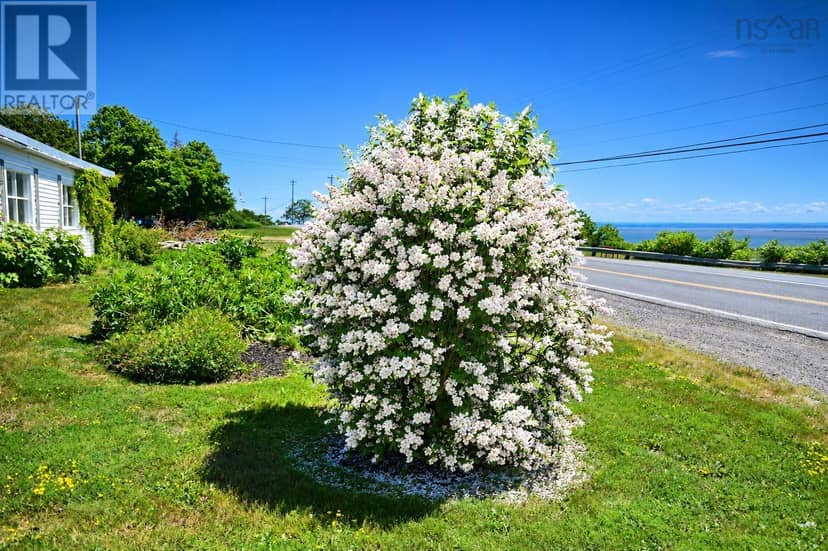3395 Highway 358 Arlington NS    B0P 1H0 — photo 9 of 40