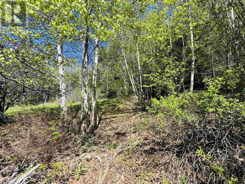 46 Fraserville Loop, East Fraserville, photo 8