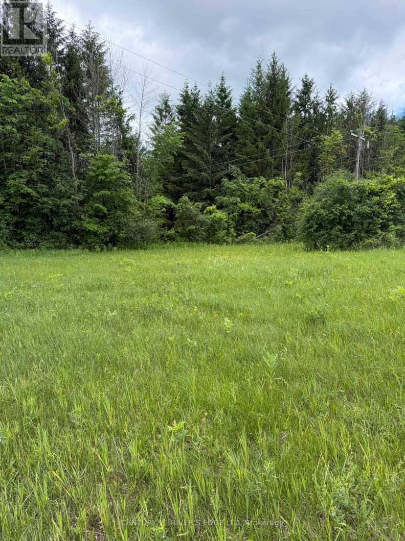 00 Branch Road — photo 12 of 13