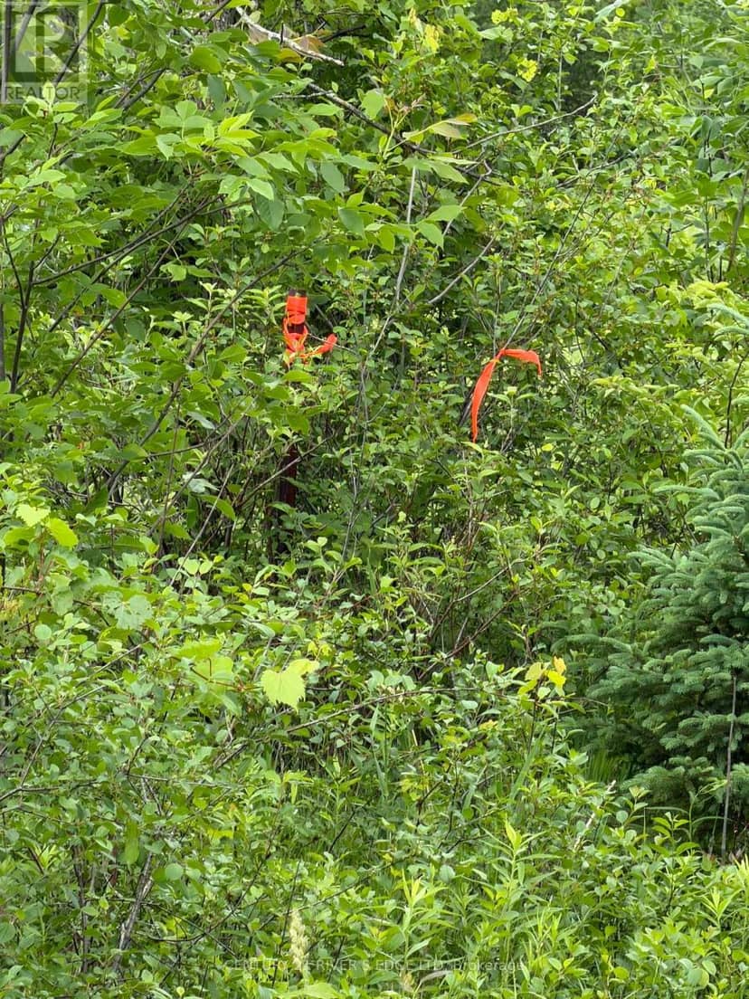 00 Branch Road — photo 11 of 13