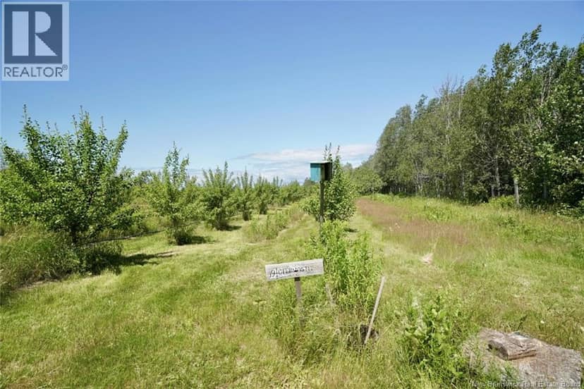 324 Des Acadiens Boulevard, Bertrand, photo 5