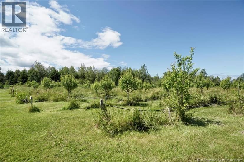 324 Des Acadiens Boulevard, Bertrand, photo 6