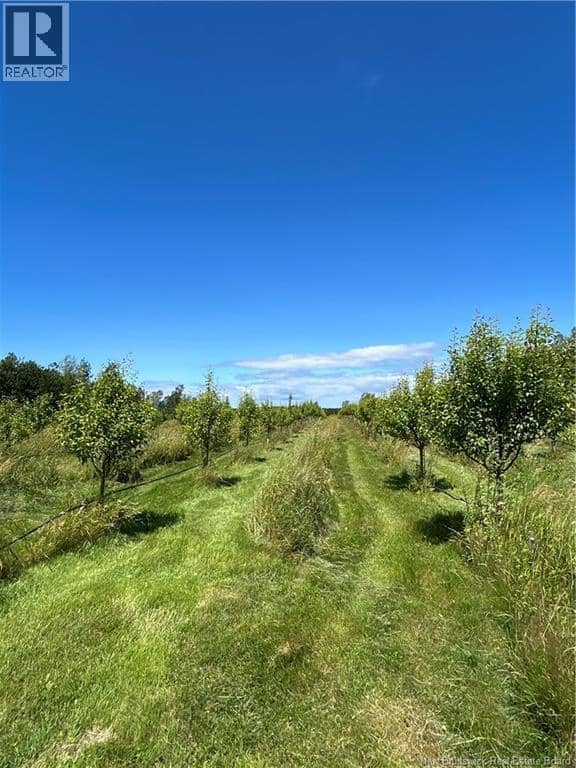 324 Des Acadiens Boulevard, Bertrand, photo 8